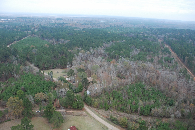 DSC_4338.JPG - A wide shot of the East side of the property.  This is looking to the Northeast.